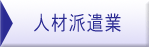 �l�ޔh����